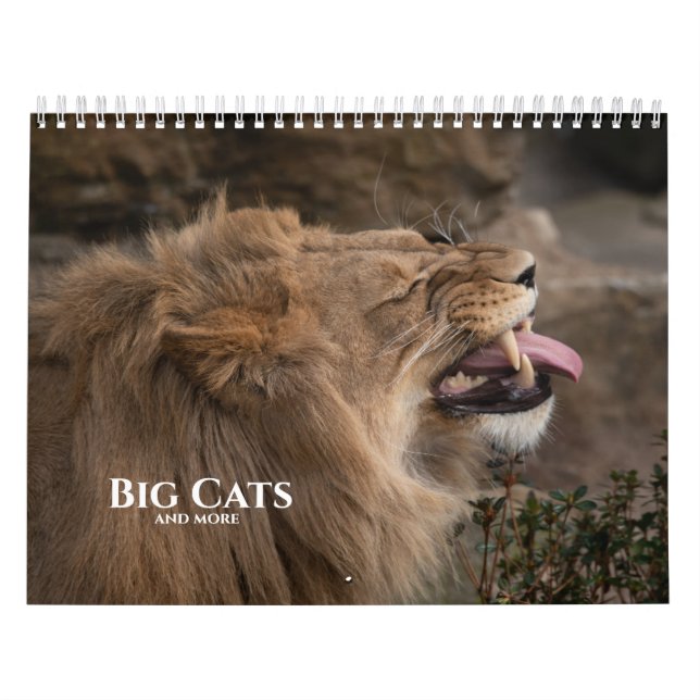 2026 Big Cats And More Calendar (Cover)