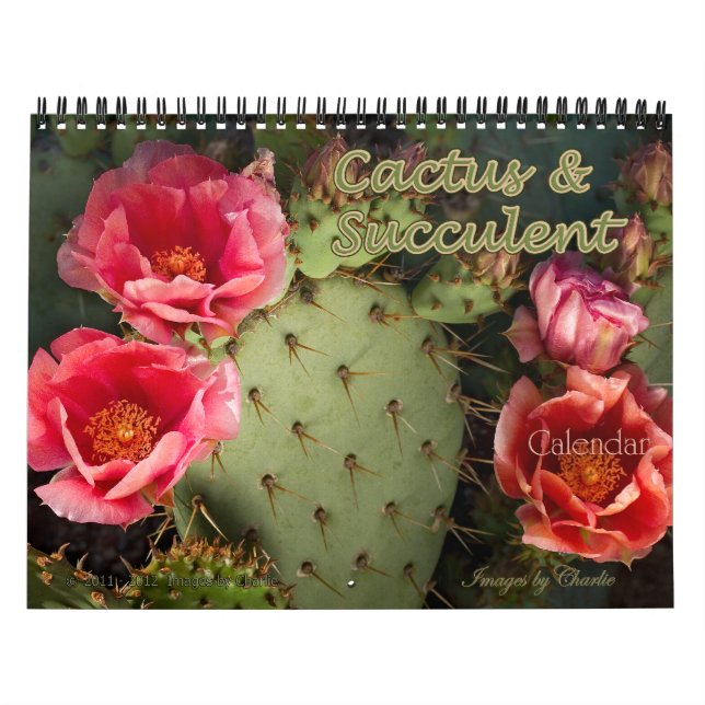 2026 Cactus & Succulent Flower (Original version) Calendar (Cover)