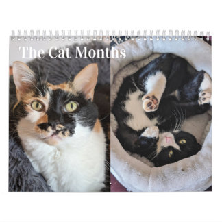 2026 Cat Calendar