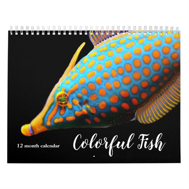 2026 Colourful Fish Calendar (Cover)