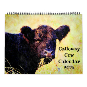 2026 Cute Galloway Cow Cattle Watercolour Painting Calendar