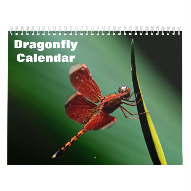 2026 Dragonfly Calendar (Cover)