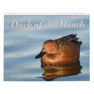 2026 Duck Photos Wall Calendar
