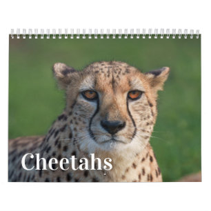2026 Fast and the Beautiful: Cheetah Collection Calendar