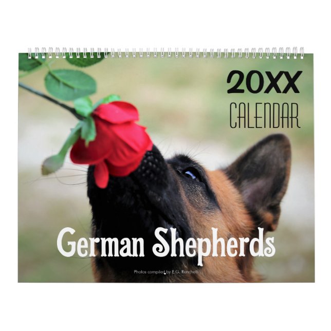 2026 German Shepherd Dog Wall Calendar Animal (Cover)