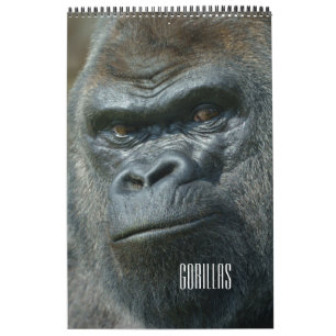 2026 Gorilla Calendar
