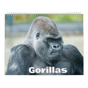 2026 Gorilla Calendar