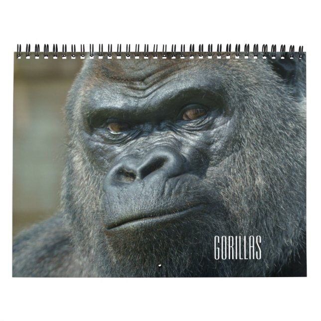 2026 Gorilla Calendar (Cover)