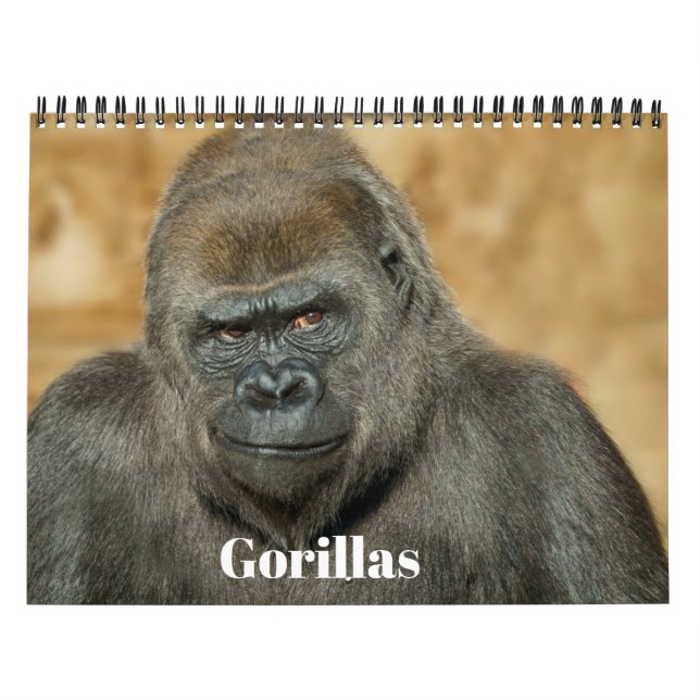 2026 Gorilla Calendar (Cover)