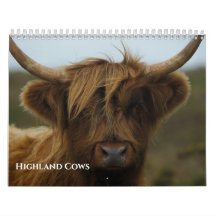 2026 Highland Cows