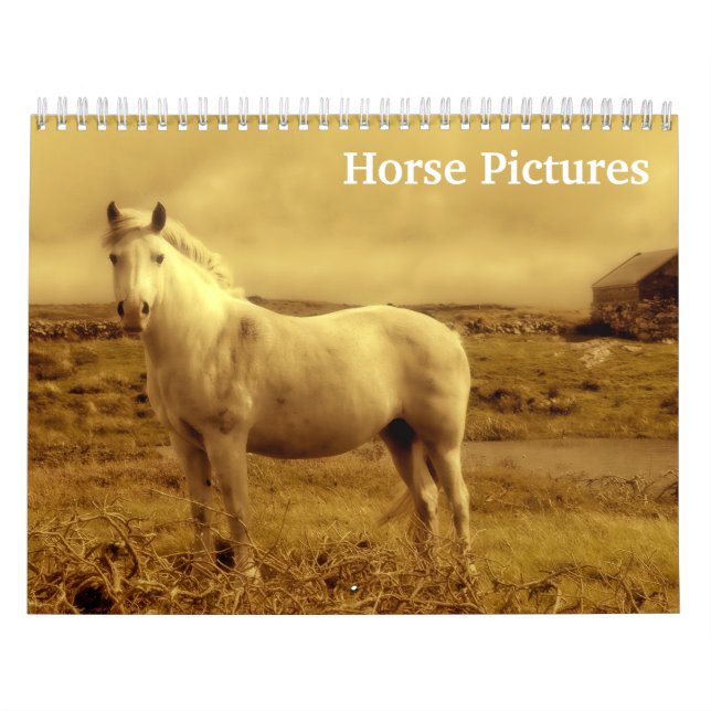 2026 Horse Pictures Images  Calendar (Cover)