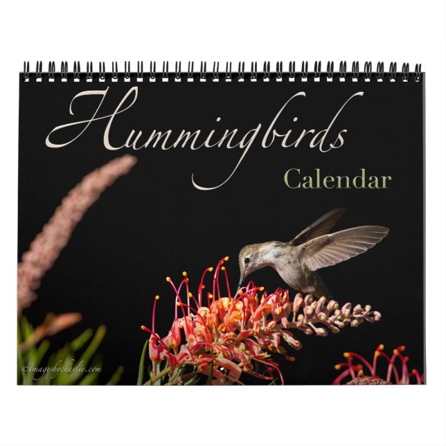 2026 Hummingbird Wall Calendar (Cover)