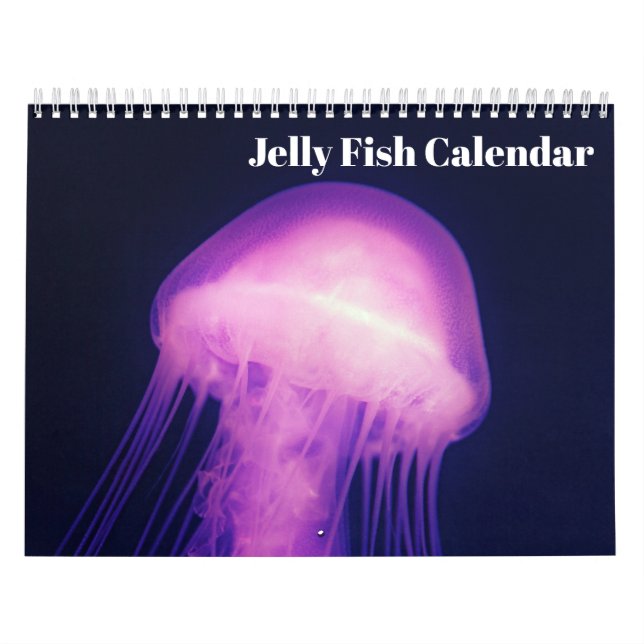 2026 Jellyfish Calendar (Cover)