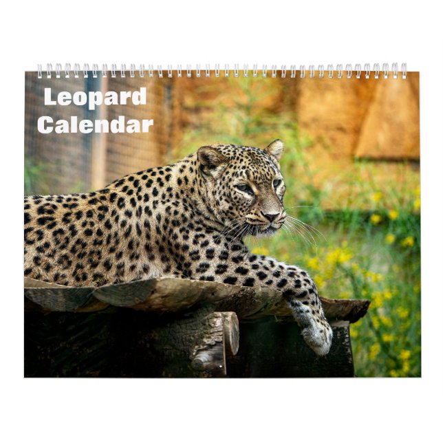 2026 Leopard Calendar (Cover)