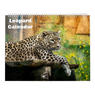 2026 Leopard Calendar