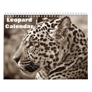 2026 Leopard Calendar