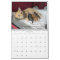 2026 Love & Hisses Calendar - ALL FOSTERS