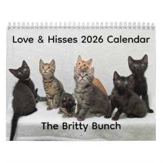 2026 Love & Hisses Calendar - the Britty Bunch