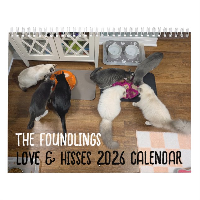 2026 Love & Hisses Calendar - the Foundlings (Cover)