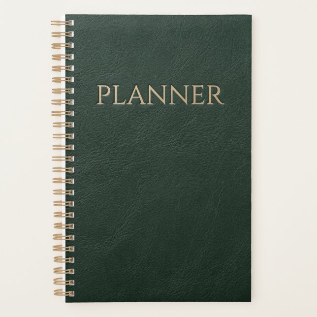2026 Luxury Professional Planner (Front)