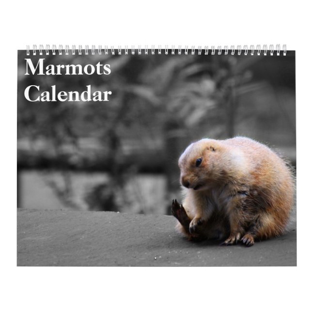 2026 Marmots Calendar (Cover)