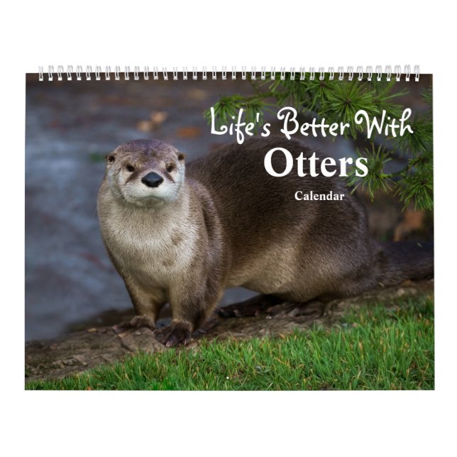 2026 Otters Up Close - Short-Clawed Calendar (Cover)