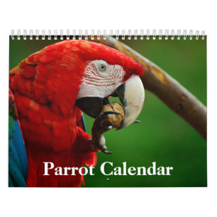 2026 Parrot Calendar