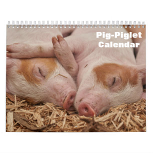 2026 Pig-Piglet Calendar