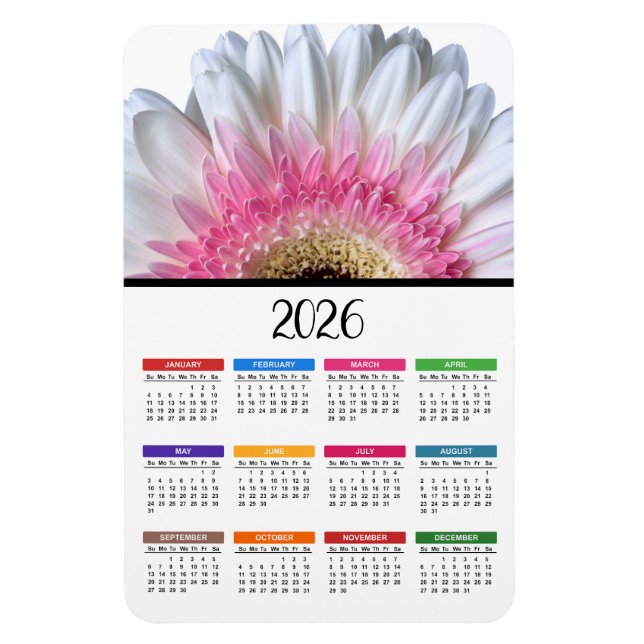 2026 Pink and White Gerbera Daisy Calendar Magnet (Vertical)