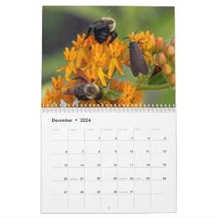 2026 Pollinator’s Perspective: A Year of Wings Calendar