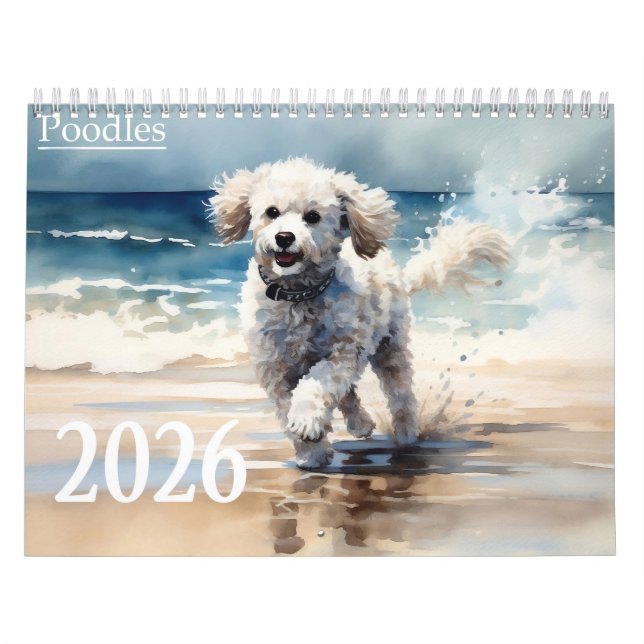 2026 Poodles  Calendar (Cover)