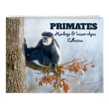 2026 Primates - Monkeys & Lesser Apes Collection