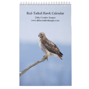 2026 Red-Tailed Hawk Calendar