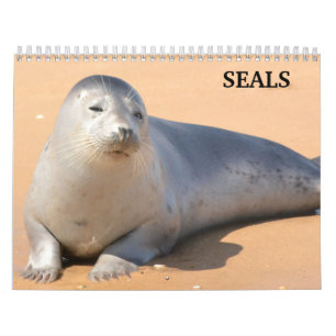 2026 Sea Lion Seals Calendar