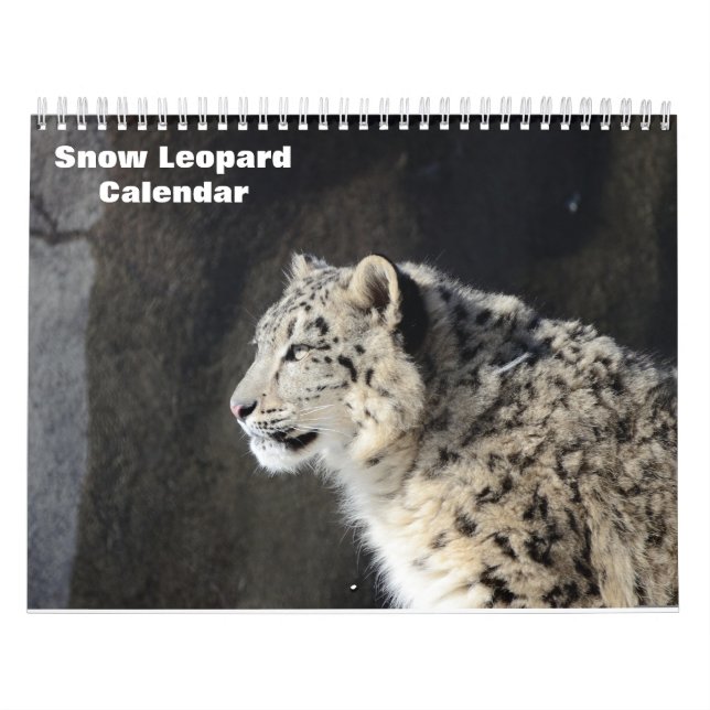 2026 Snow leopard Calendar (Cover)