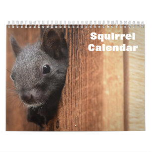 2026 Squirrel Calendar