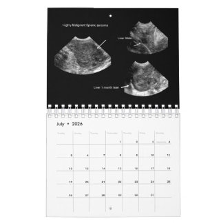 2026 Veterinary Ultrasound Calendar