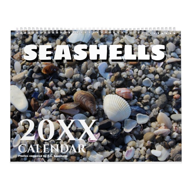 2026 Wall Seashell Calendar Beach Shells Gift (Cover)