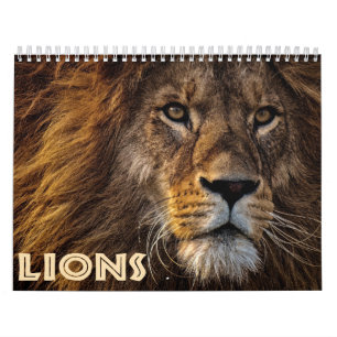 2026 Wild Lions Calendar