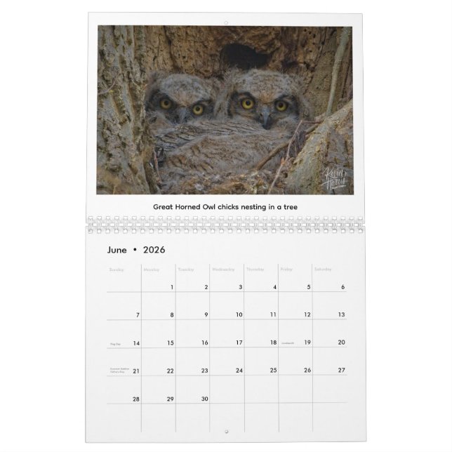 2026 Wildlife Calendar by Kevin Harris (Jun 2026)