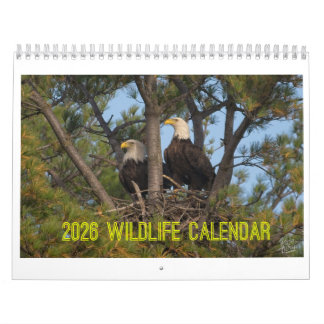 2026 Wildlife Calendar by Kevin Harris