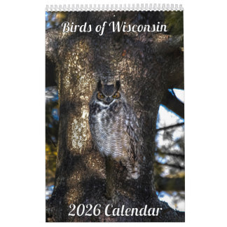 2026 Wisconsin Birds Calendar