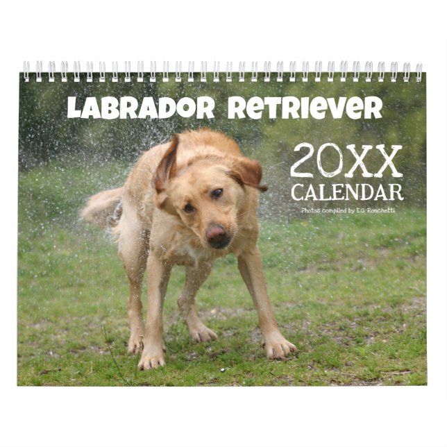 2026 Yellow Lab Labrador Retriever Cute Calendar (Cover)