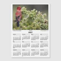 2027 5x7 Magnet Calendar Apapane Hawaiian Bird