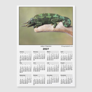 2027 5x7 Magnet Calendar Jackson Chameleon