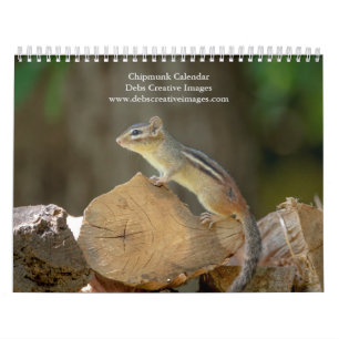 2027 Adirondack Chipmunk   Woodland Photography Calendar