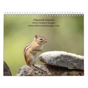 2027 Adirondack Chipmunks Forest Wildlife Calendar