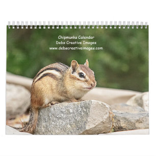 2027 Adirondack Chipmunks   Wildlife Photography Calendar