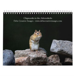 2027 Adirondack Chipmunks Woodland Wildlife Calendar