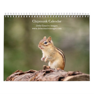 2027 Adirondack Chipmunks, Woodland Wildlife Photo Calendar